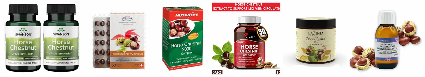 Horse Chestnut.jpg